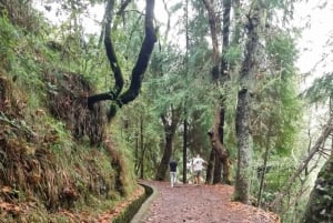 Madeira: Surrealistisk oplevelse i øst