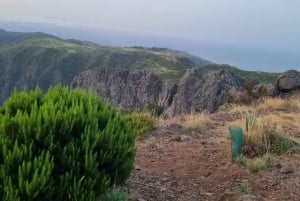 Madeira: Surrealistisk oplevelse i øst