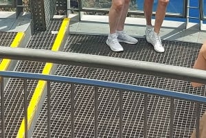 Мадейра: индивидуальный тур по острову на трехколесном велосипеде