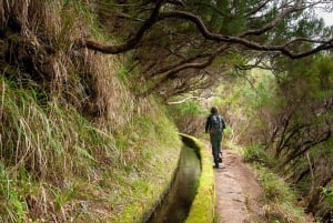 Madeira: Private Levada/Hike Experience with a Local Guide