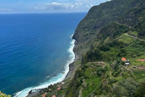 Madeira: Private Levada/Hike Experience with a Local Guide