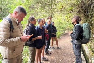 Madeira: Private Levada/Hike Experience with a Local Guide