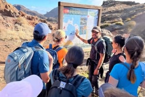 Madeira: Private Levada/Hike Experience with a Local Guide