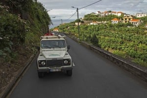 Madeira: The Best of South Jeep Tour