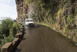 Madeira: The Best of South Jeep Tour