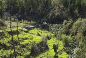 Madeira: The Best of South Jeep Tour