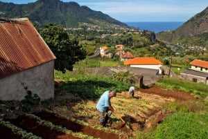 Madeira: The Best of South Jeep Tour