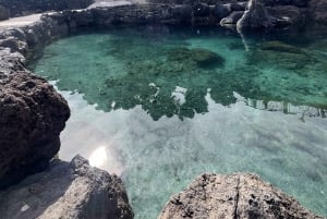 マデイラ島ツアー - ポルト・モニス西ツアー 素晴らしいプール