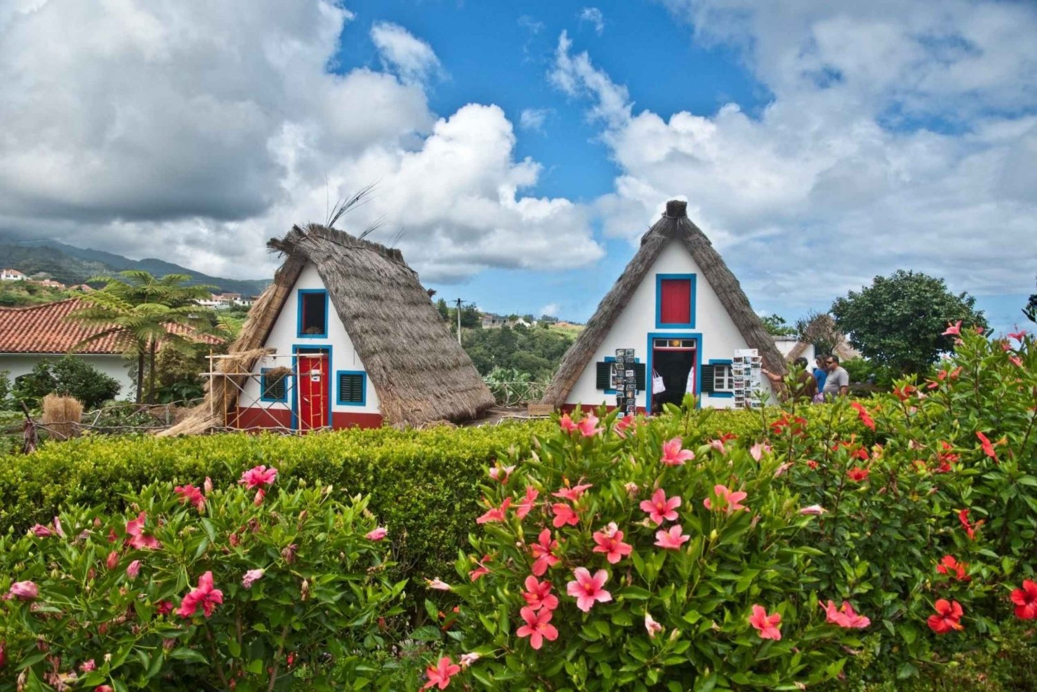 MADEIRA TOUR- SANTANA EAST TOUR STRAW THATCHED ROOFED HOUSES