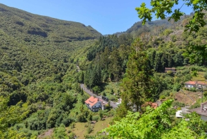 マデイラ・ツアー-サンタナ・イースト・ツアー 藁葺き屋根の家々