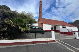 マデイラ・ツアー-サンタナ・イースト・ツアー 藁葺き屋根の家々