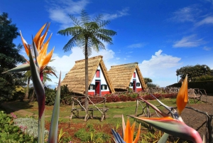 マデイラ・ツアー-サンタナ・イースト・ツアー 藁葺き屋根の家々