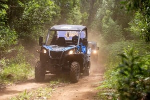 Madeira: Trail Thrill Buggy Tour