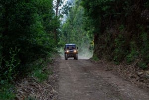 Madeira: Trail Thrill Buggy Tour