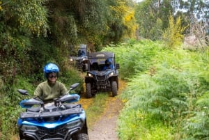 Madeira: Trail Thrill Buggy Tour