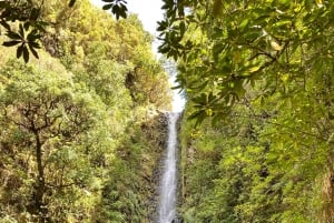 Madeira: 25 Fontes and Levada do Risco Transfer