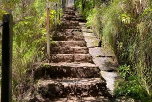 Madeira: 25 Fontes and Levada do Risco Transfer