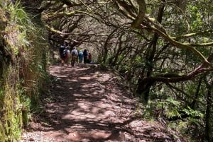 Madeira: 25 Fontes and Levada do Risco Transfer