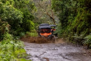 Madeira: OFF-ROAD-BUGGY-ABENTEUER NACH FUNDURAS