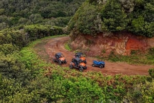 Madeira: OFF-ROAD-BUGGY-ABENTEUER NACH FUNDURAS