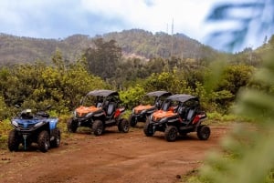 Madeira: OFF-ROAD-BUGGY-ABENTEUER NACH FUNDURAS