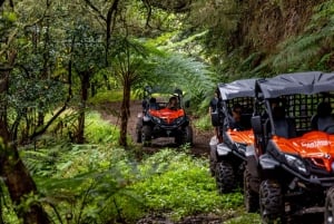 Madeira: OFF-ROAD-BUGGY-ABENTEUER NACH FUNDURAS