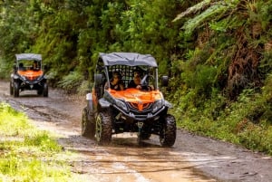 Madeira: OFF-ROAD-BUGGY-ABENTEUER NACH FUNDURAS