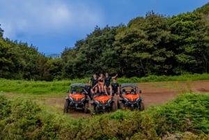 Madeira: OFF-ROAD-BUGGY-ABENTEUER NACH FUNDURAS