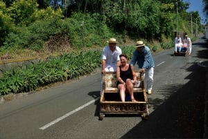 Madeira: Tukxi Tour to Monte