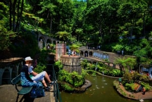 Madeira: Tukxi Tour to Monte