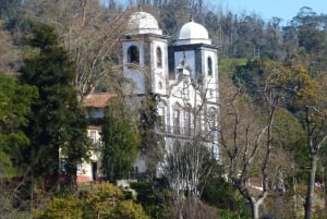 Madeira: Tukxi Tour to Monte