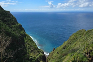 Privat utmanande vandring på Vereda da Ladeira