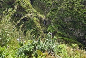 Privat utmanande vandring på Vereda da Ladeira