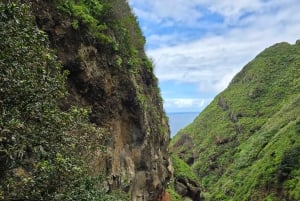 Privat utmanande vandring på Vereda da Ladeira