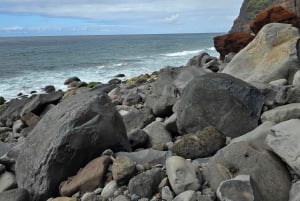 Privat utmanande vandring på Vereda da Ladeira