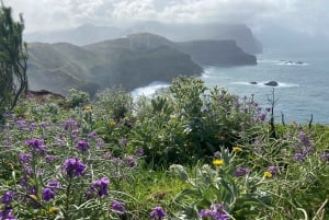 Funchal: PR 8 - Vereda da Ponta de São Lourenço Sunrise Hike