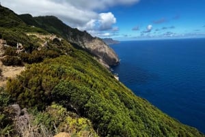 Madeira: Vereda do Larano Trail One-Way Transfer Service