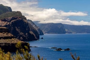 Madeira: Vereda do Larano Trail One-Way Transfer Service