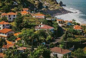 Madeira: Vereda do Larano Trail One-Way Transfer Service