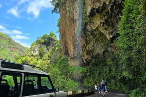 Madeira: Bezoek de vulkanische poelen, watervallen en het magische bos van Fanal