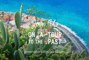 Madeira: VW Van Tours descubra o sudoeste da Madeira com conforto exclusivo