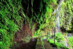 Madeira: Walking Tour Levada do Rei/Ribeiro Bonito