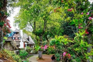 Madeira: Walking Tour - Queimadas / Caldeirão Verde