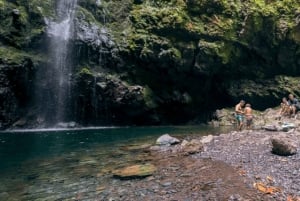 Madeira: Walking Tour - Queimadas / Caldeirão Verde