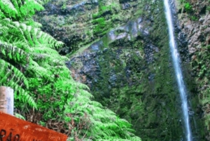 Madeira: Walking Tour - Queimadas / Caldeirão Verde
