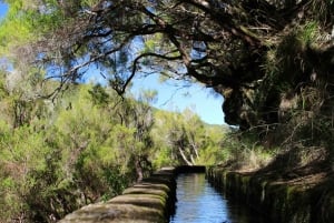 Madeira : Walking Tour-Rabaçal /25 Fontes