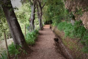 Madeira : Walking Tour - Vale Paraíso / Rochão