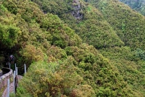 Madeira Walks - Rabaçal and the 25 Fountains