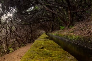 Madeira Walks - Rabaçal and the 25 Fountains