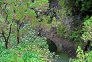 Madeira Walks - Rabaçal and the 25 Fountains